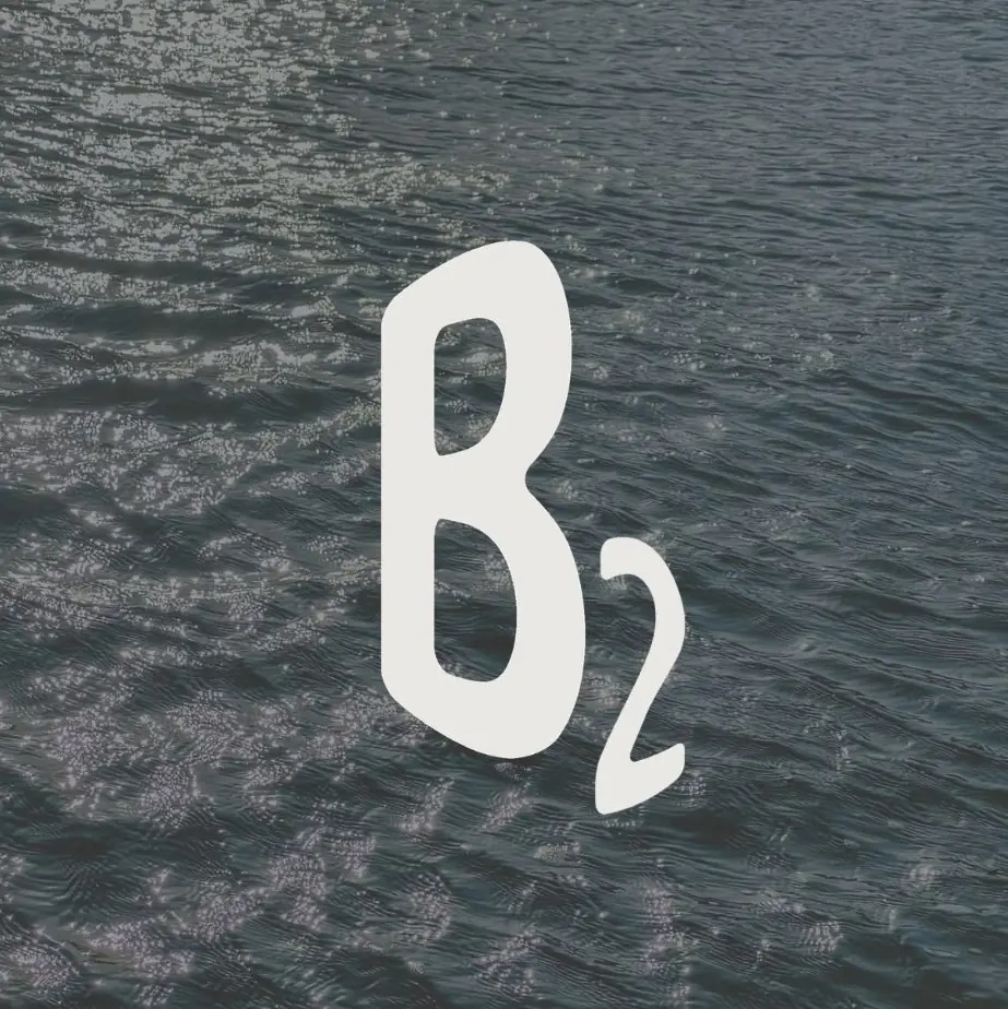 B2 Entretenimento