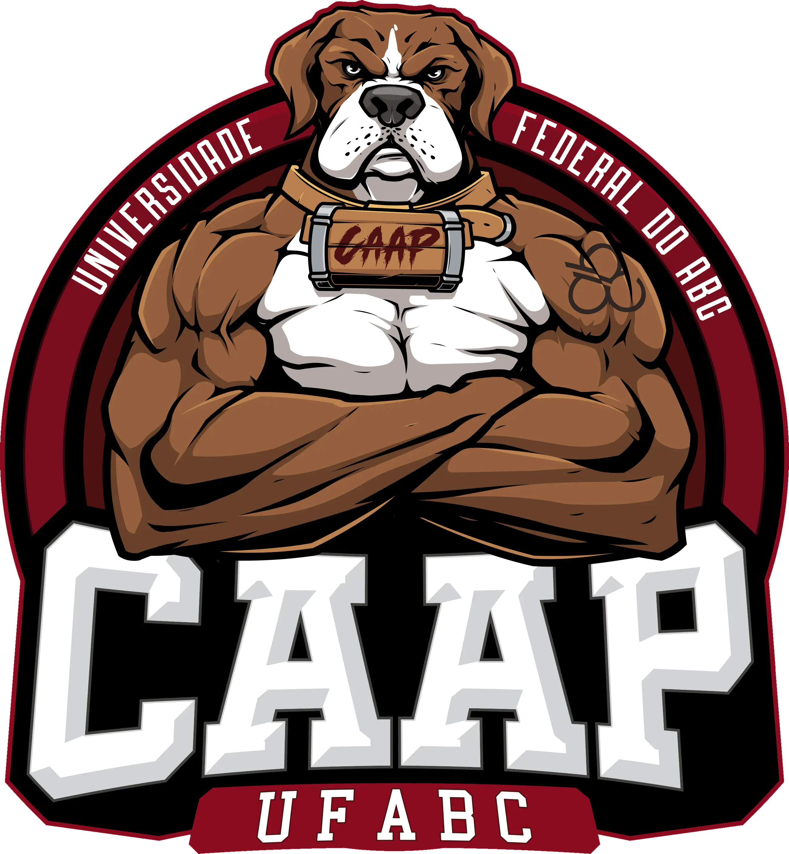 A.A.A. CAAP UFABC